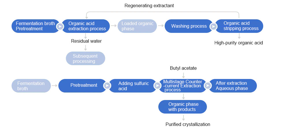 Organic Acid Purification Process