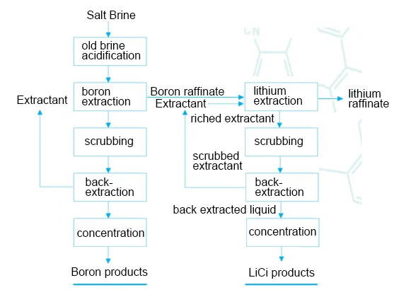 Separation and extraction lithium and boron from brine