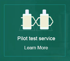 Pilot test service